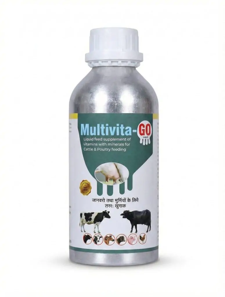 MULTIVITA-GO