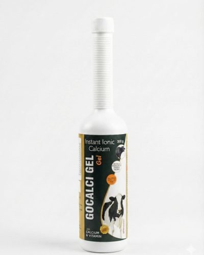 WhatsApp Image 2025-12-19 at 1.14.22 PM (1)