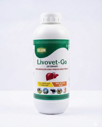 WhatsApp Image 2025-12-19 at 1.14.22 PM