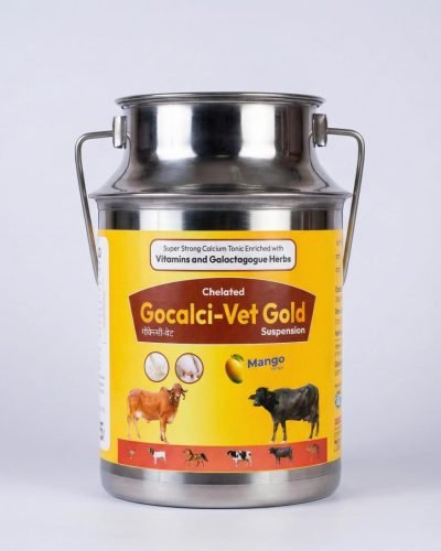 WhatsApp Image 2025-12-19 at 1.22.02 PM