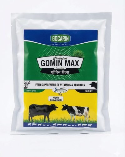 WhatsApp Image 2025-12-19 at 1.30.07 PM