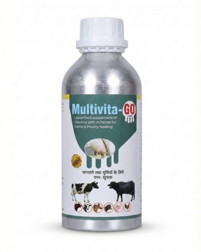 WhatsApp Image 2025-12-19 at 2.22.51 PM