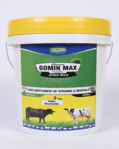 WhatsApp Image 2025-12-19 at 3.07.15 PM (1)