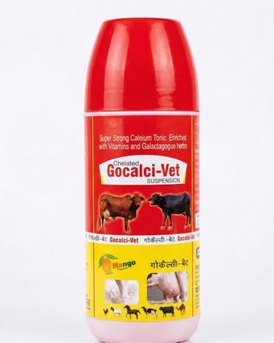 WhatsApp Image 2025-12-19 at 3.11.35 PM