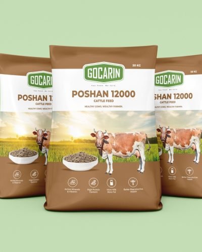 WhatsApp Image 2025-12-19 at 3.44.16 PM