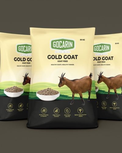 WhatsApp Image 2025-12-19 at 3.44.17 PM (1)