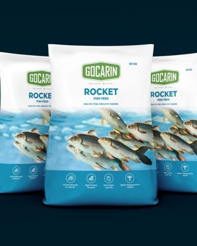 WhatsApp Image 2025-12-19 at 3.44.17 PM