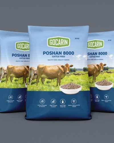 WhatsApp Image 2025-12-19 at 3.44.18 PM (1)