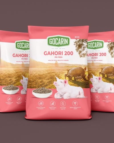 WhatsApp Image 2025-12-19 at 3.44.18 PM